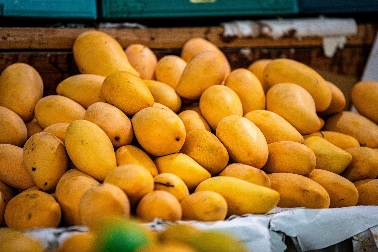 Premium Himsagar and Amrapali Mangoes